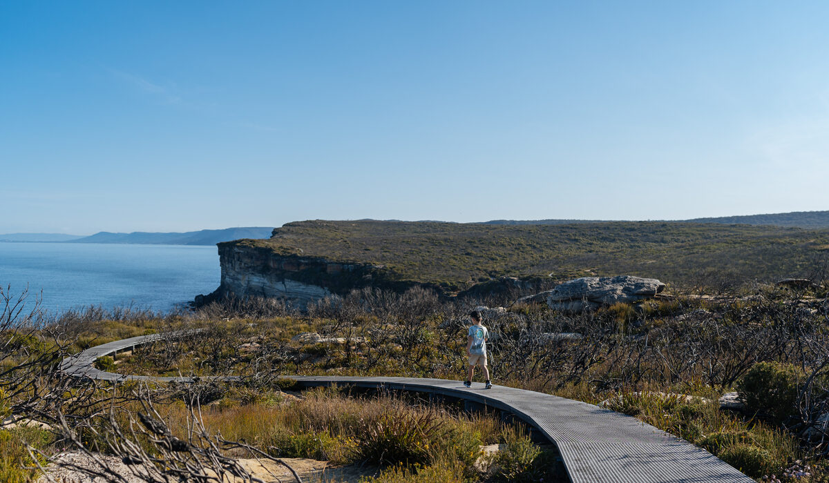 eagle-rock