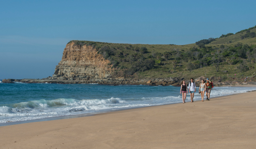 whale-watching-in-the-shire-garie-beach-is-a-hotspot-blog