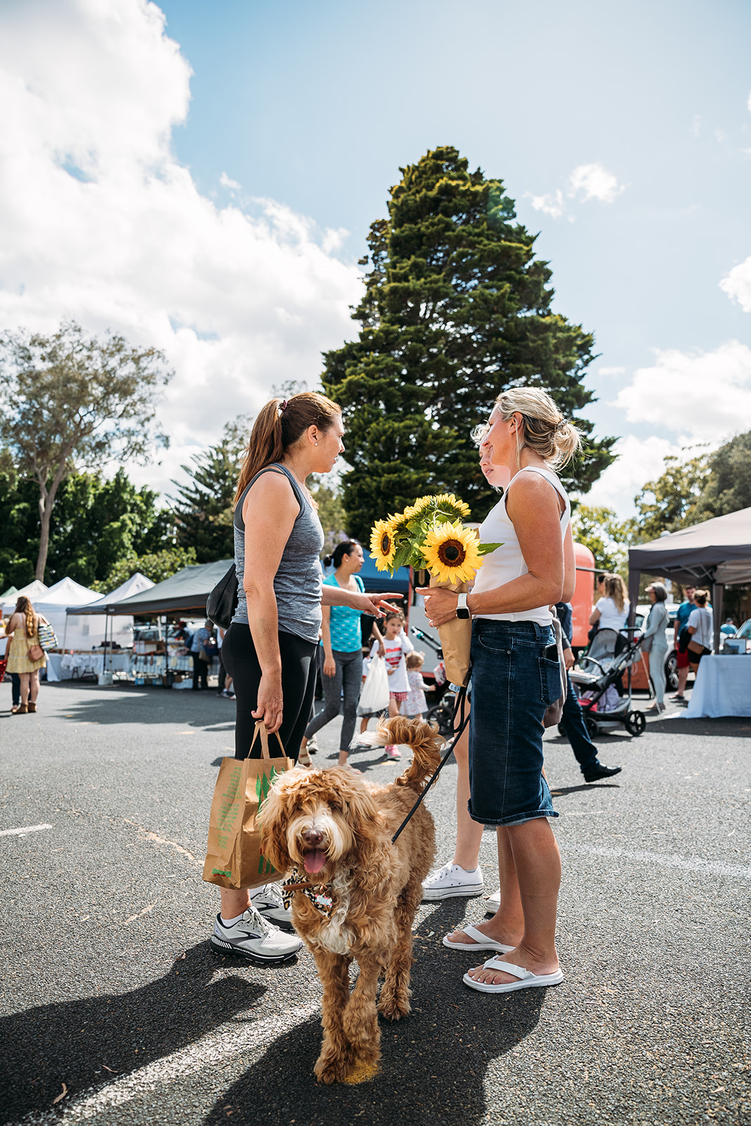 Shire Farmers Market