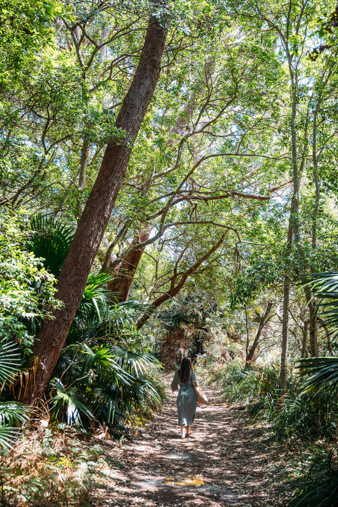 Jibbon Beach Walk Bundeena