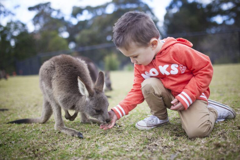 Symbio Wildlife Park