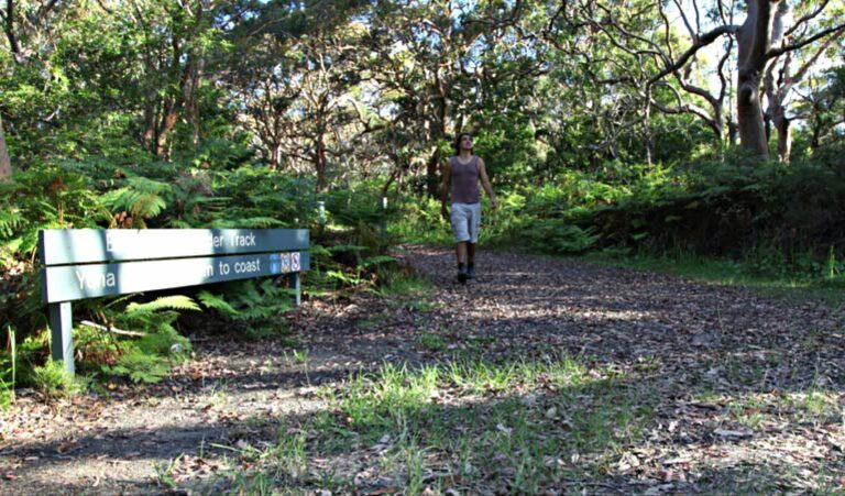 Banks-Solander track, Kamay Botany Bay National Park. Photo: Andy Richards