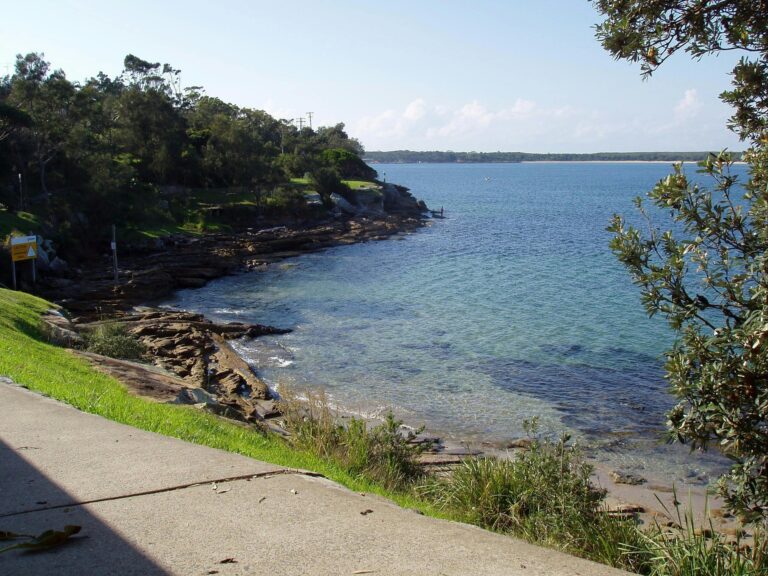 Salmon Haul Reserve Cronulla