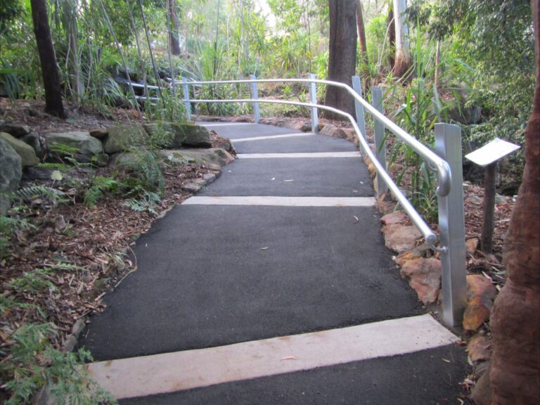 Winding paths through the reserve