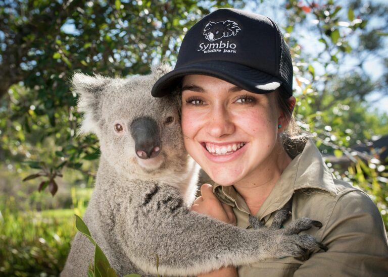 Symbio is the perfect place to cuddle up to koala for a photo opportunity