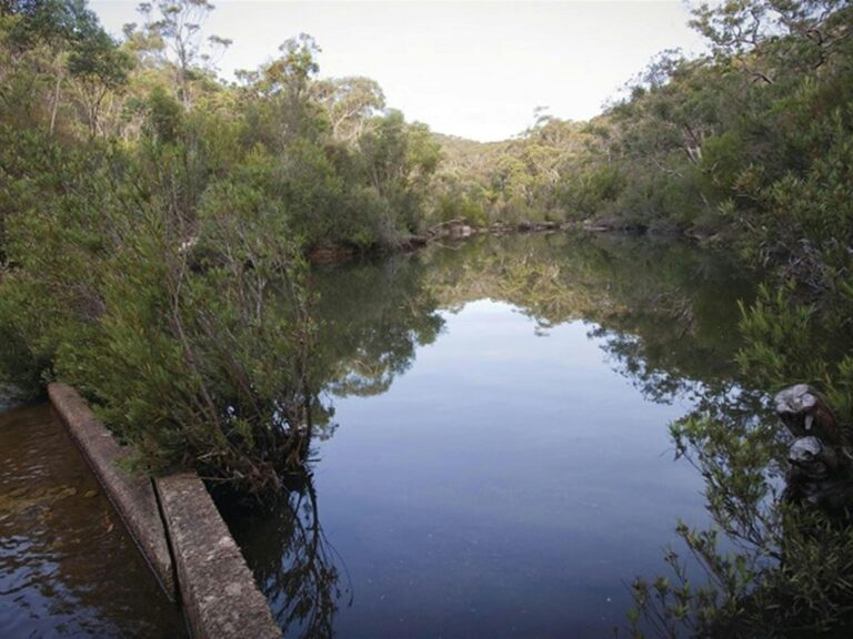 Battery Causeway alongside a still pool of water, surrounded by bushland. Photo: Nick Cubbin/DPIE