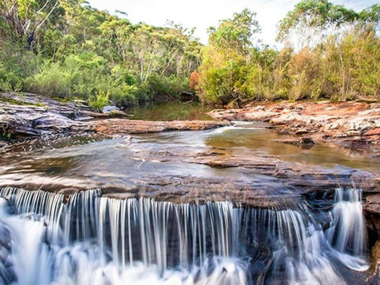 Kingfisher Pool picnic area, Heahtcote National Park. Photo: Nick Cubbin © OEH