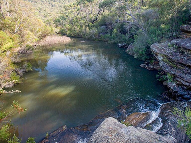 Kingfisher Pool picnic area, Heahtcote National Park. Photo: Nick Cubbin © OEH