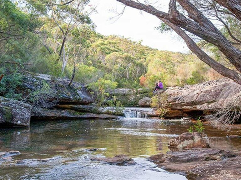 Kingfisher Pool picnic area, Heahtcote National Park. Photo: Nick Cubbin © OEH