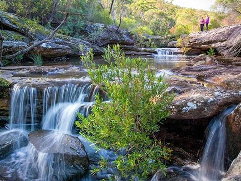 Kingfisher Pool picnic area, Heahtcote National Park. Photo: Nick Cubbin © OEH