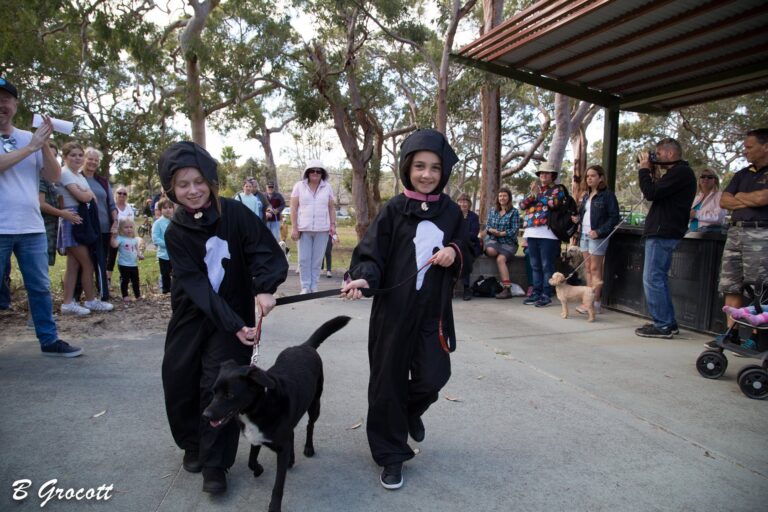 Dog show