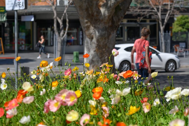 Gymea Shopping Village