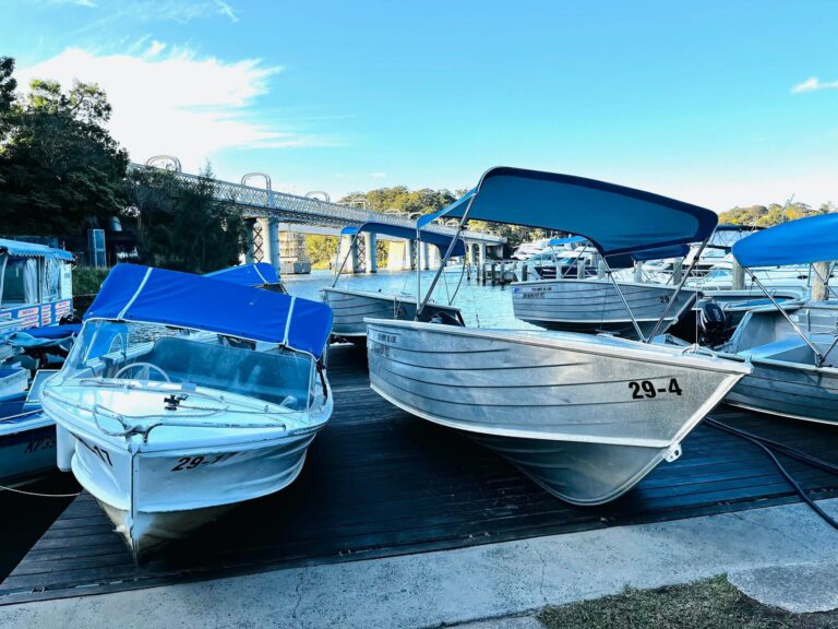 Cruise about and Canopy for hire