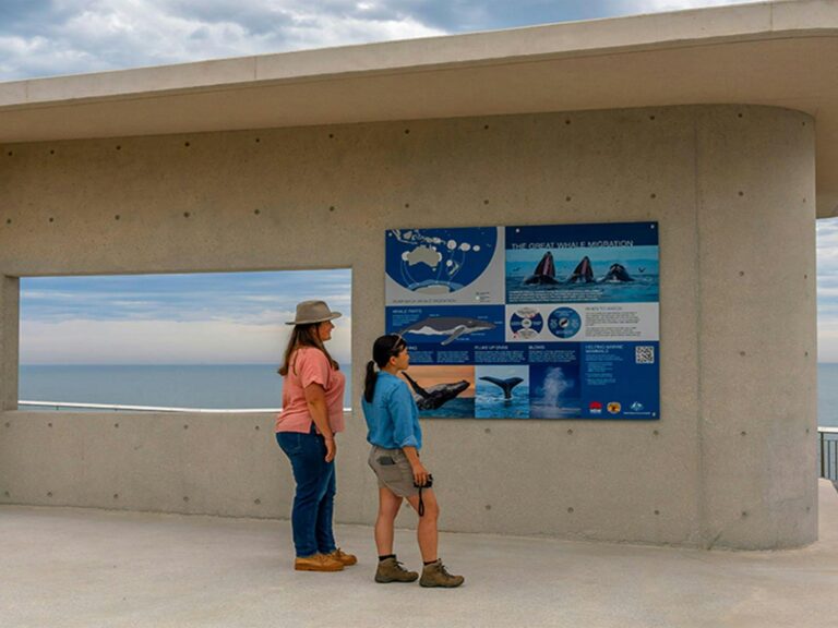 Two women view the whale information charts posted on the Cape Solander platform. Photo: John