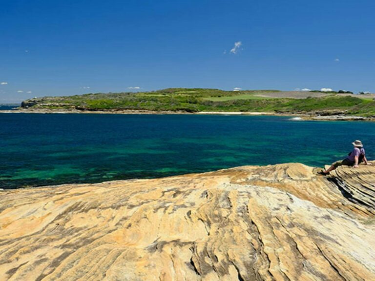 View of Cruwee Cove Beach and Little Bay from Cape Banks, Kamay Botany Bay National Park. Elinor