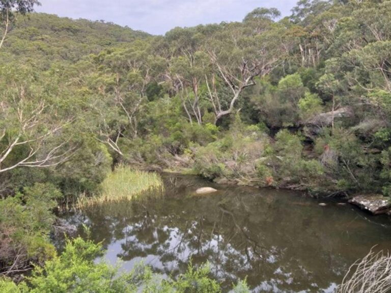 Kingfisher Pool in Heathcote National Park. Photo: Jodie McGill © DPIE