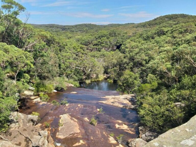 Kingfisher Pool in Heathcote National Park. Photo: Jodie McGill © DPIE