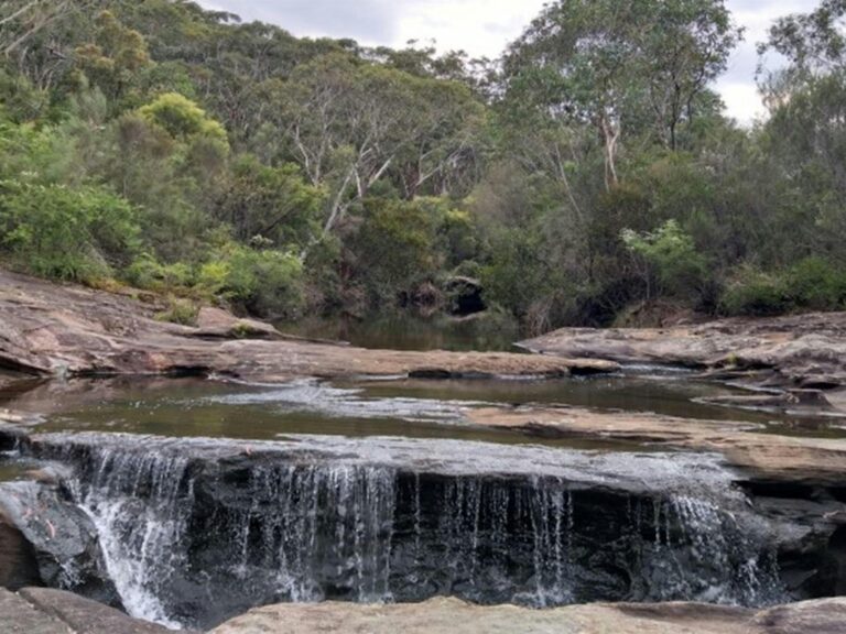 A small waterfall at Kingfisher Pool in Heathcote National Park. Photo: Jodie McGill © DPIE