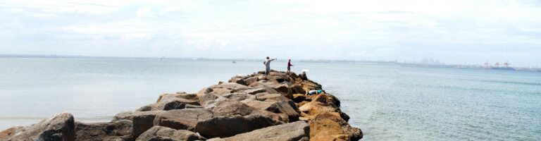 Groins with great fishing