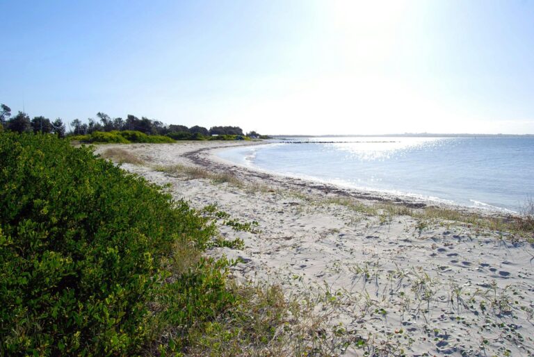 Silverbeach