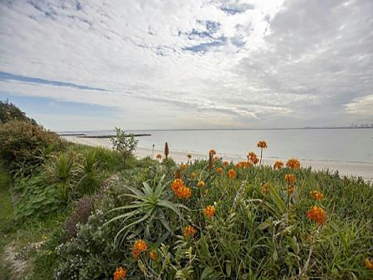 Silver Beach, Kurnell