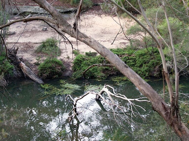 Mirang Pool campground in Heathcote National Park. Photo: Nick Cubbin/DPIE