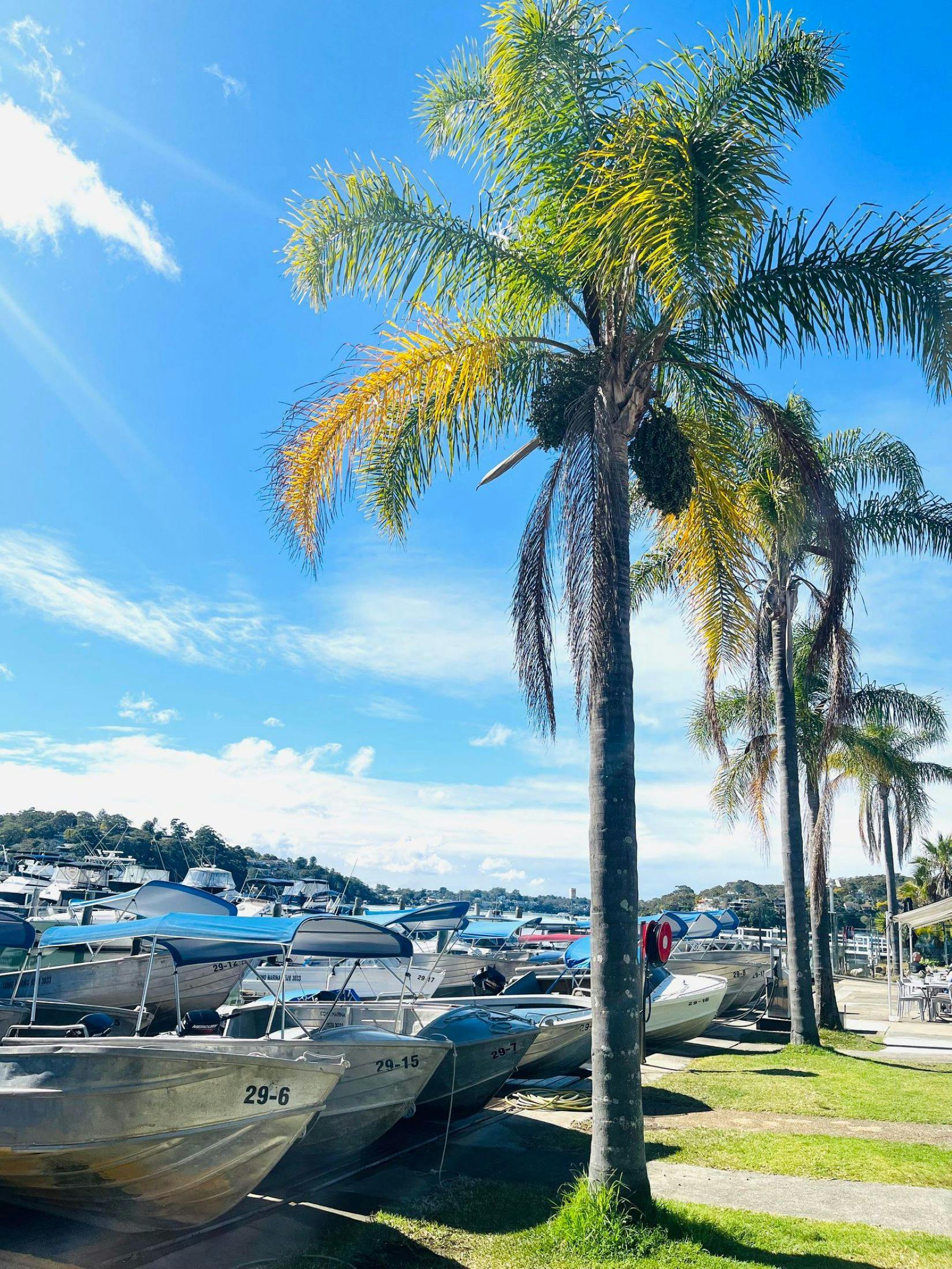 Como Marina Boat Hire Visit Sutherland Shire