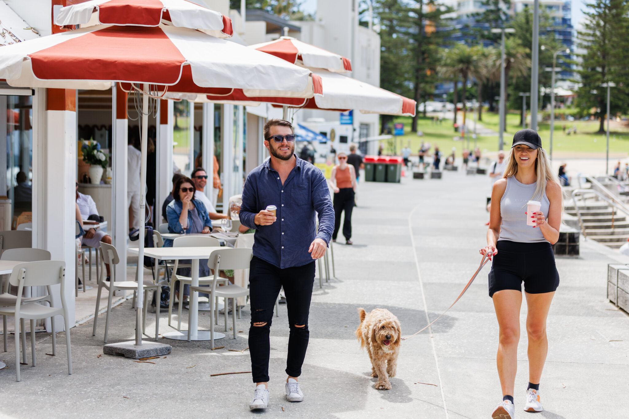 Six Dog Friendly Activities in the Sutherland Shire Visit Sutherland