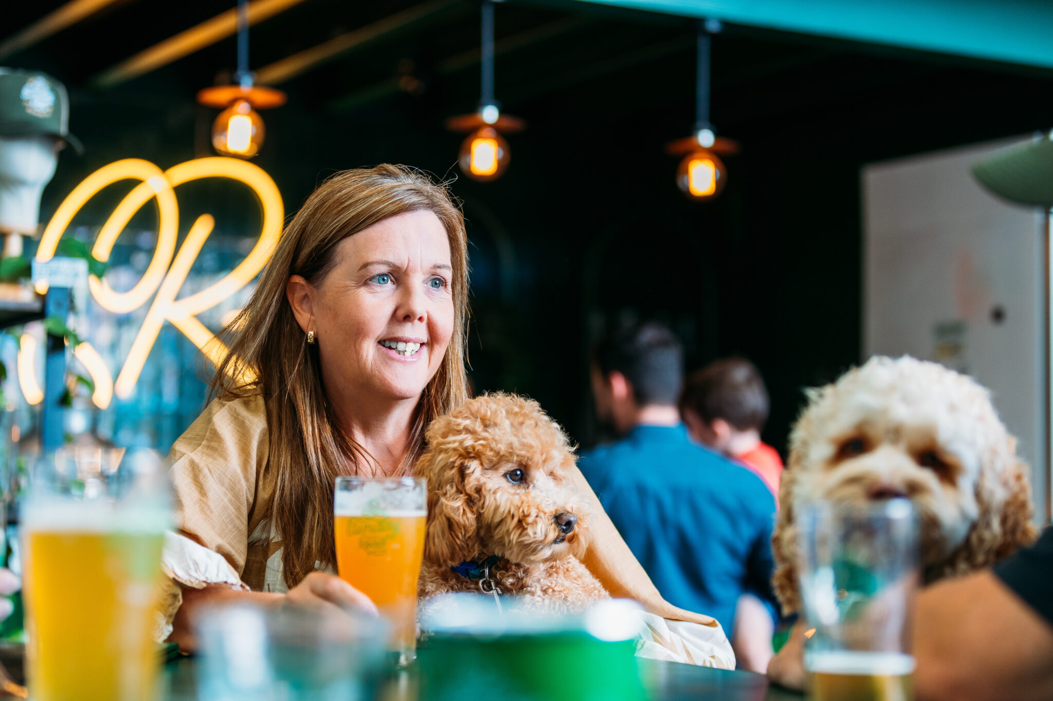 Six Dog Friendly Activities in the Sutherland Shire Visit Sutherland