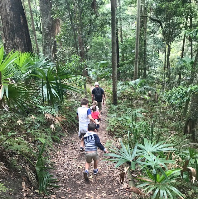 Forest Path, Royal National Park