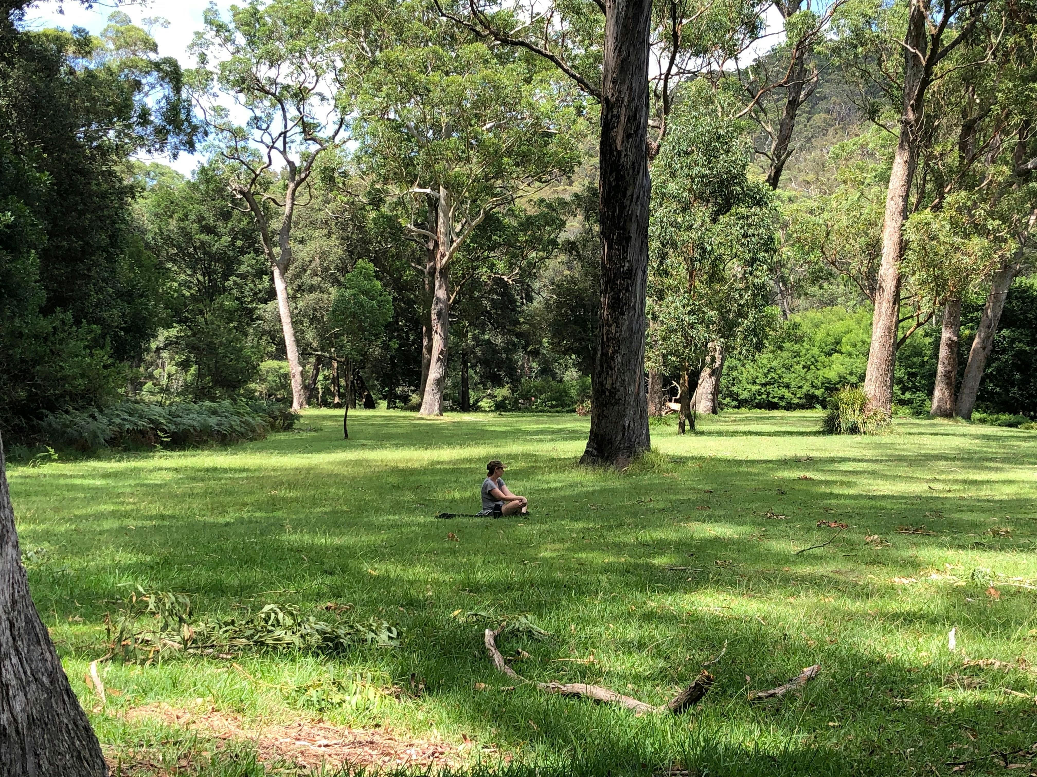 Person sitting in quiet contemplation with nature