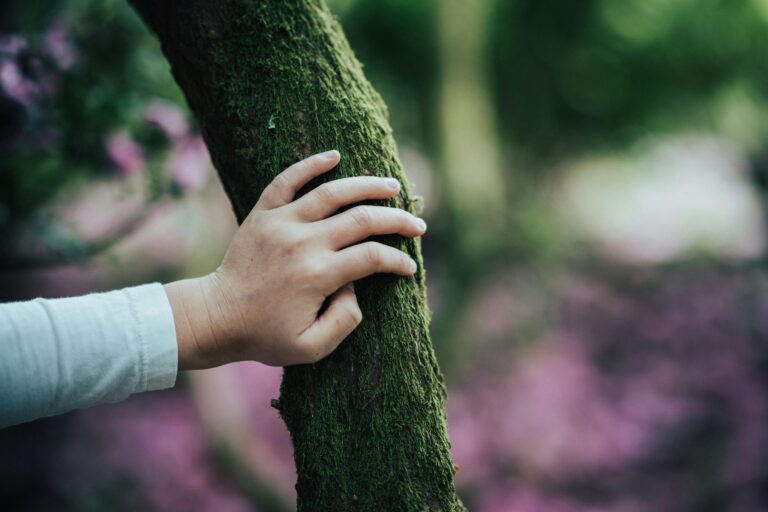 Touching the tree
