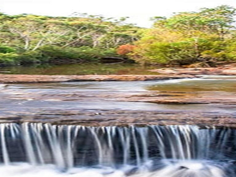 Kingfisher Pool picnic area, Heahtcote National Park. Photo: Nick Cubbin © OEH