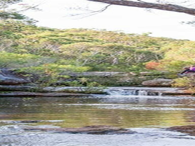 Kingfisher Pool picnic area, Heahtcote National Park. Photo: Nick Cubbin © OEH