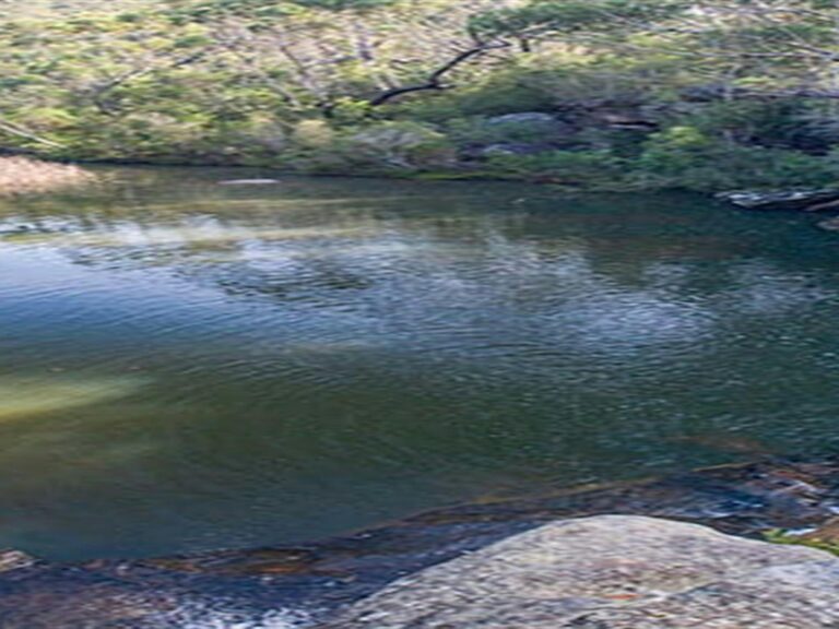 Kingfisher Pool picnic area, Heahtcote National Park. Photo: Nick Cubbin © OEH