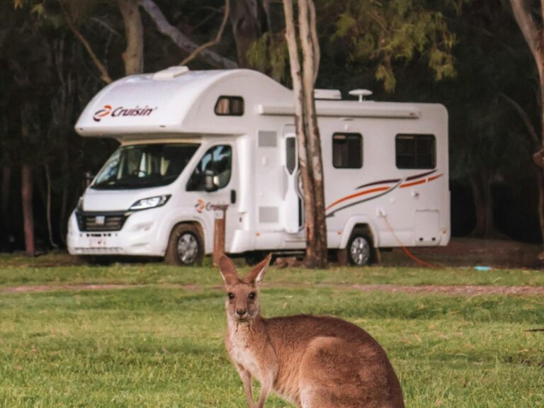 Cruisin' Motorhomes