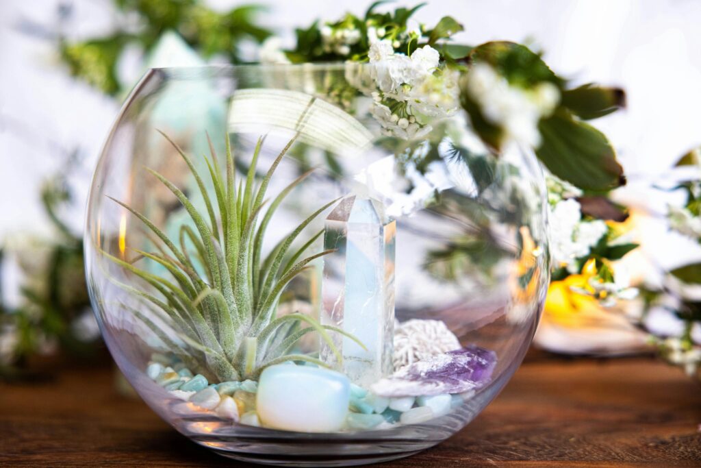 Air Plant & Crystal  Terrarium