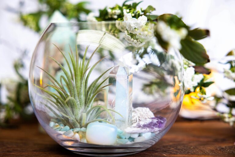 Air Plant & Crystal Terrarium