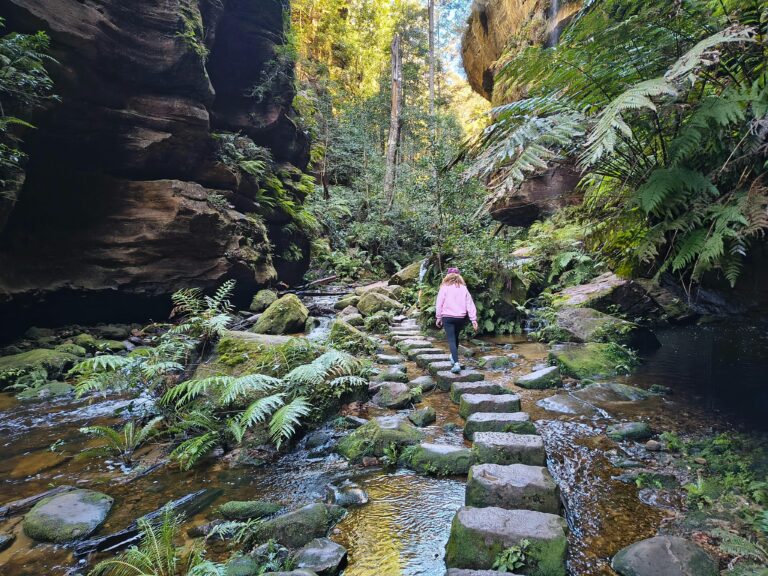 canyon creek crossing in the Grand Canyon in the Blue Mountains west of Sydney