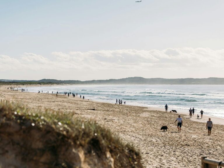Dogs running on Greenhills Beach with sand dunes and coastal views
