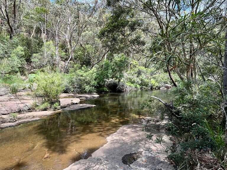 Beautiful clear Mirang pool in Heathcote National Park. Credit: Natasha Webb &copy; DCCEEW/Natasha