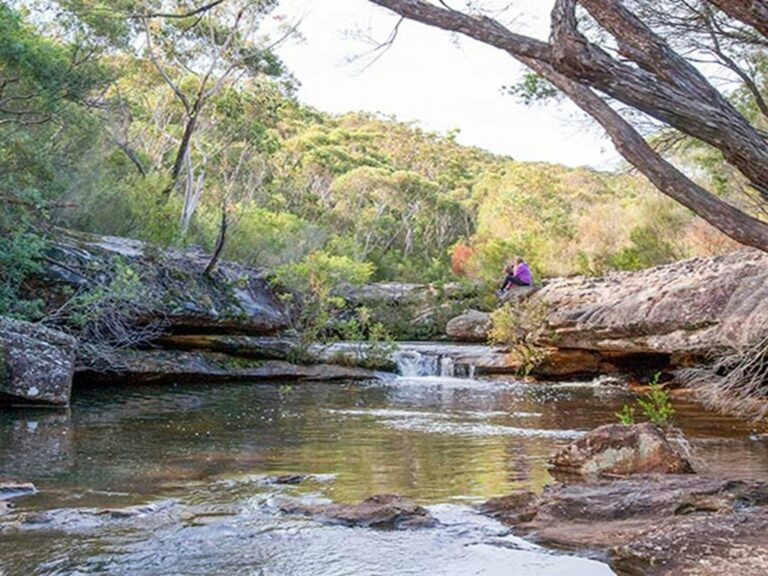 Kingfisher Pool picnic area, Heahtcote National Park. Photo: Nick Cubbin © OEH