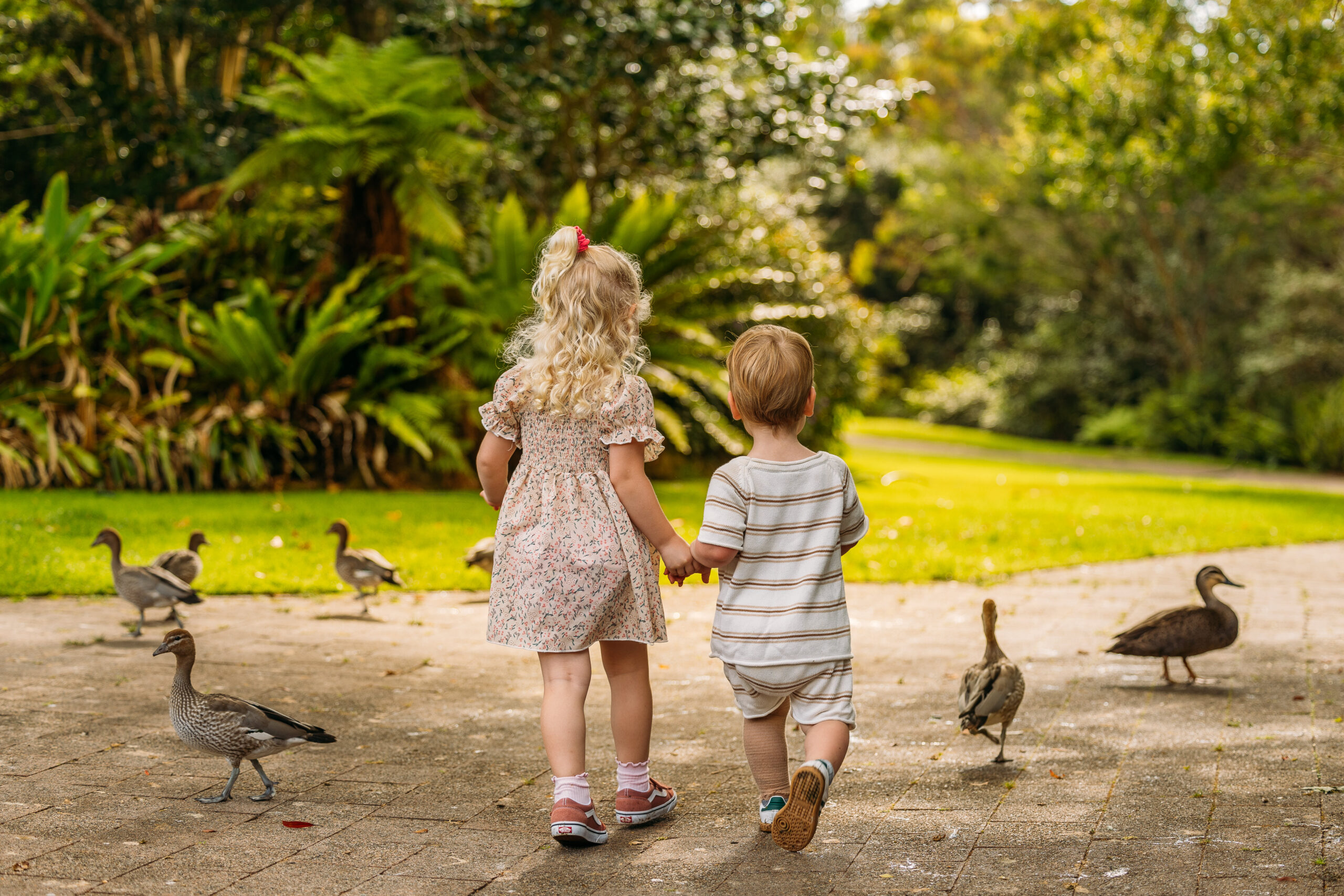 A young girl and boy walking hand in hand amongst ducks at the National Camellia Gardens