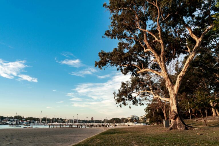 Gunnamatta Bay