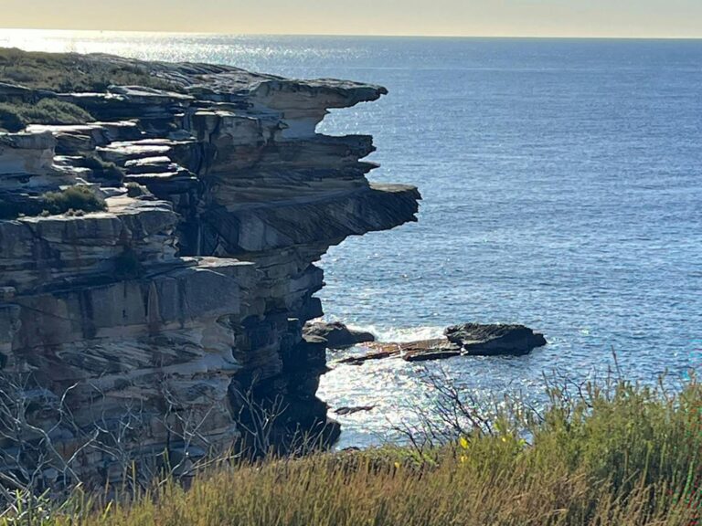 View of the ocean from Cape Baily Coast Walk