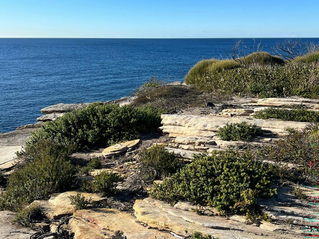 View of the ocean from Cape Baily Coast Walk