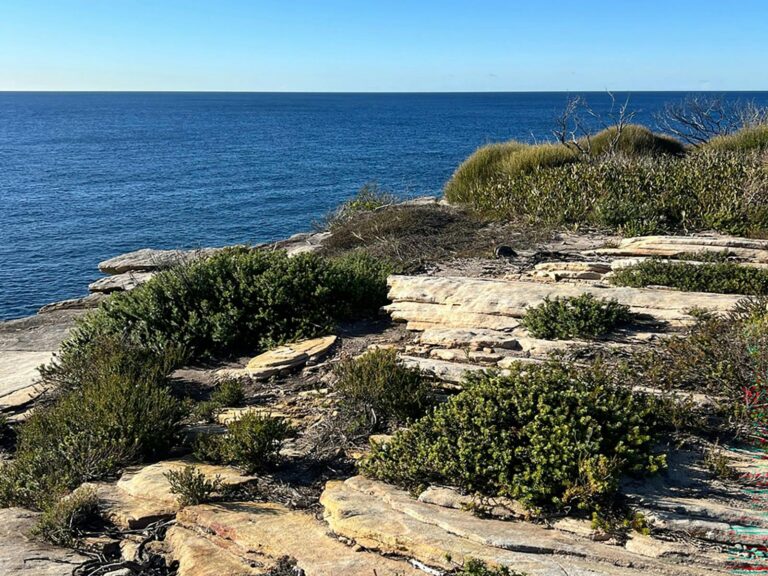 View of the ocean from Cape Baily Coast Walk