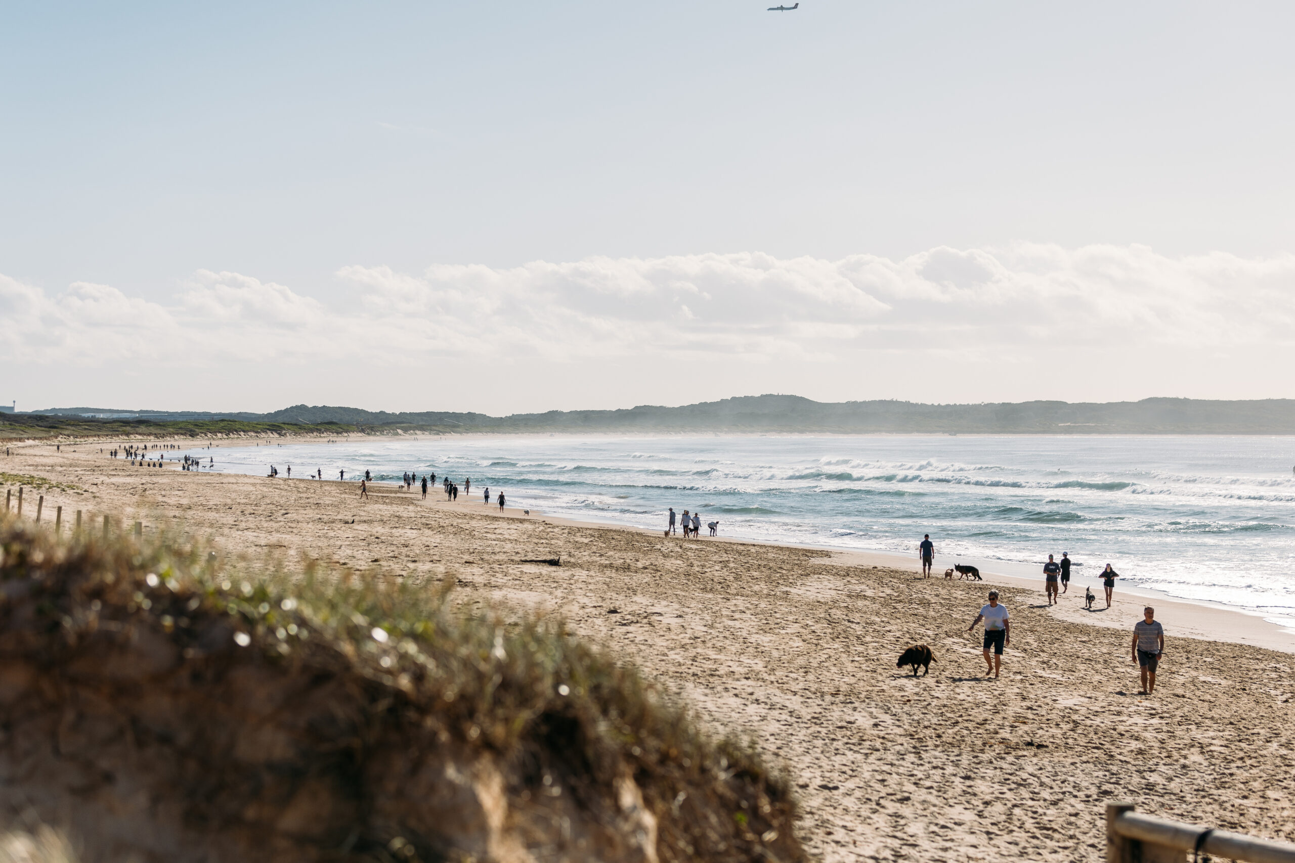 Greenhills dog beach