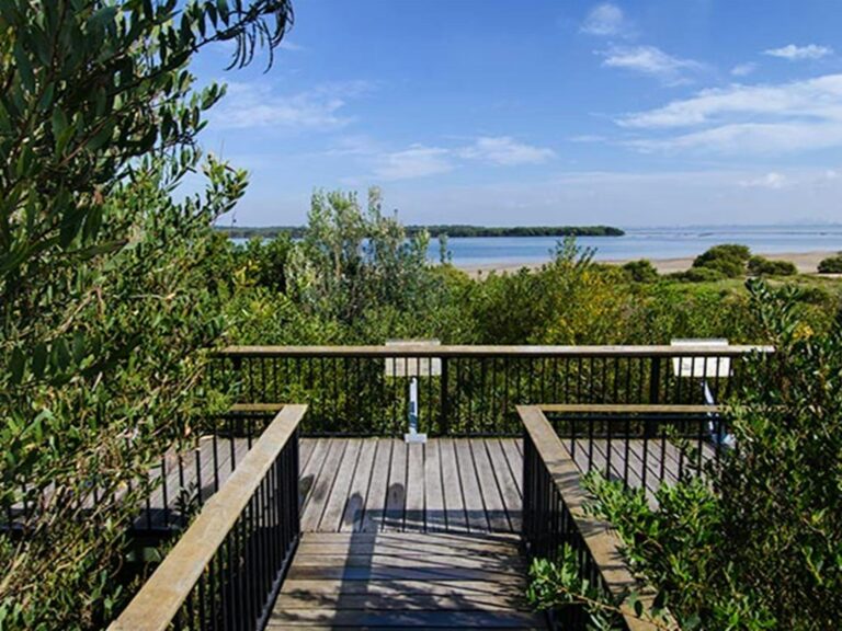 Towra Point Nature Reserve. Photo: John Spencer/NSW Government