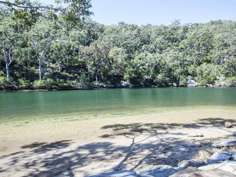 Hacking River, Royal National Park. Photo: Rosie Nicolai OEH